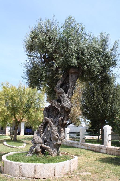 فاسانو Masseria Maccarone المظهر الخارجي الصورة