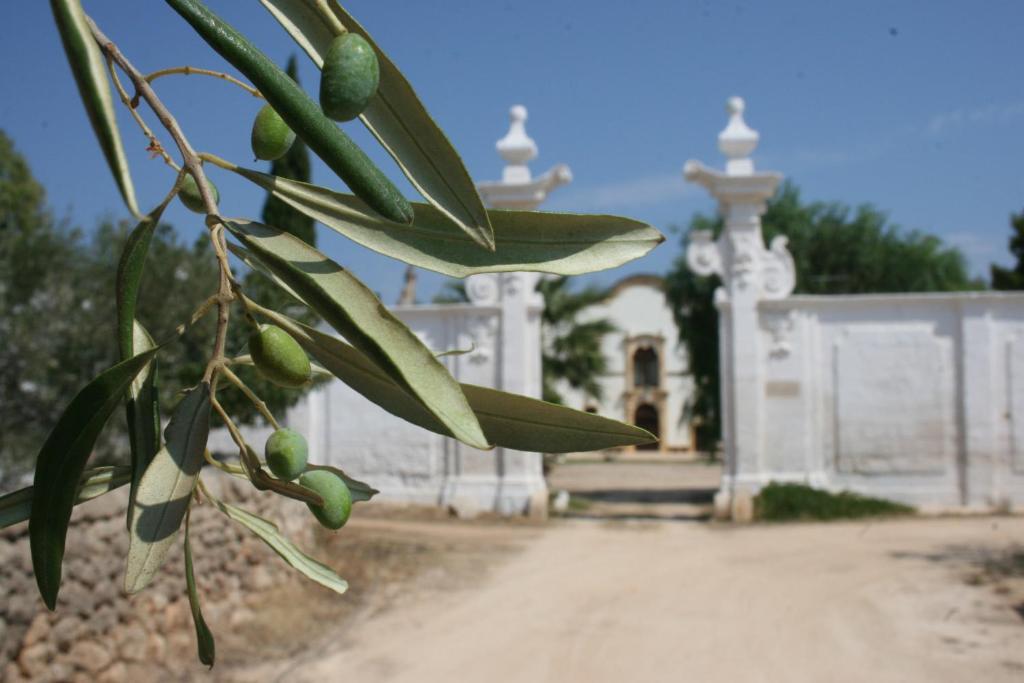 فاسانو Masseria Maccarone المظهر الخارجي الصورة