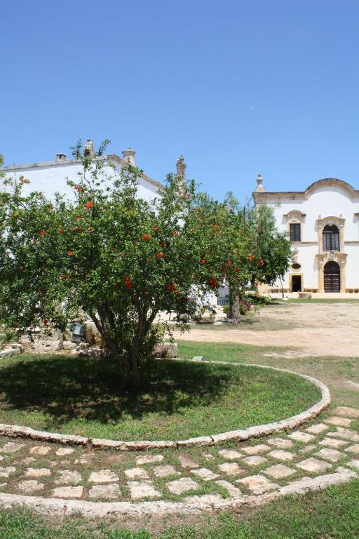 فاسانو Masseria Maccarone المظهر الخارجي الصورة