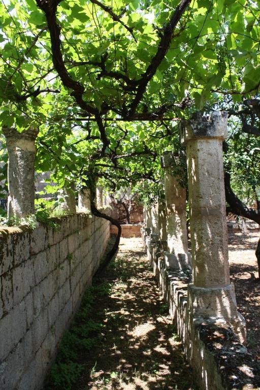 فاسانو Masseria Maccarone المظهر الخارجي الصورة