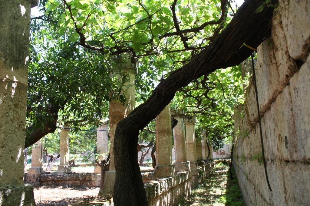 فاسانو Masseria Maccarone المظهر الخارجي الصورة