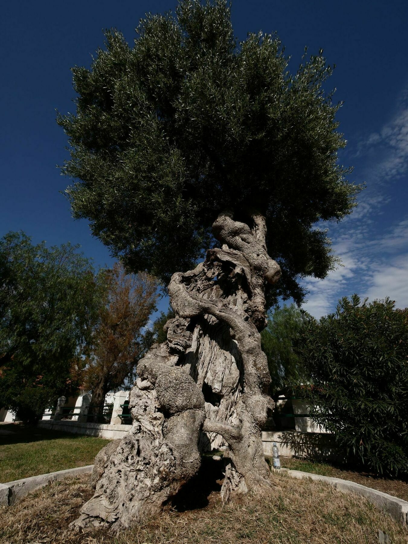 فاسانو Masseria Maccarone المظهر الخارجي الصورة